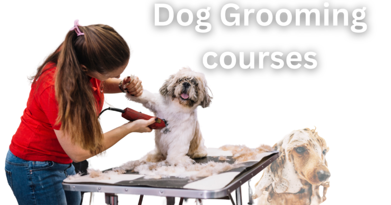Dog grooming online course